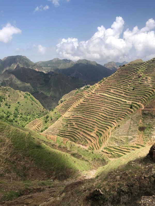 Terraces_Yemen